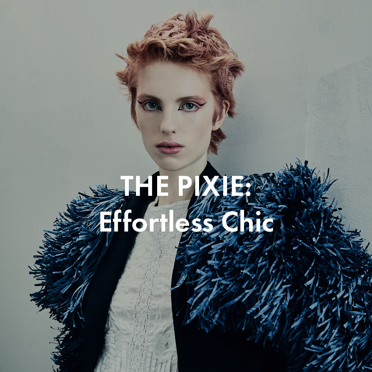 MICRO SEMINAR THE PIXIE - MANCHESTER (26 APRIL)