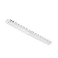 YS Park Comb - Transparent Clear